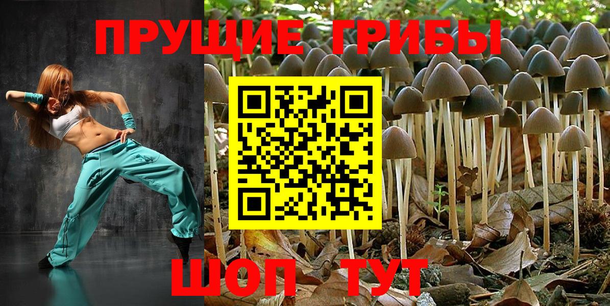 закладка  Псилоцибиновые грибы Magic Shrooms  Ижевск  Вход с VPN  Галлюциногенные грибы MAGIC MUSHROOMS 