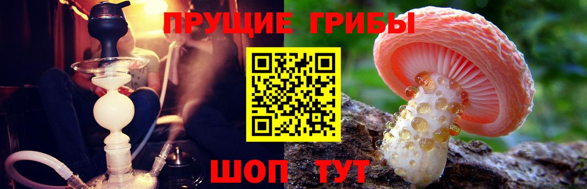 Псилоцибиновые грибы прущие грибы Ижевск